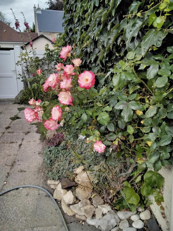 Hortensias Анель Экстерьер фото
